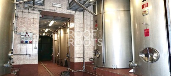 14 bedrooms Villa in Radda in Chianti, Italy No. 151878 45