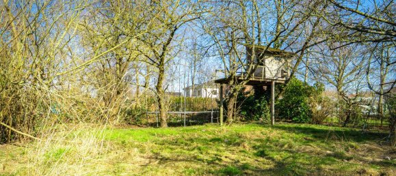 Terreno em Markisch-Oderland, Germany N.º 265334 3