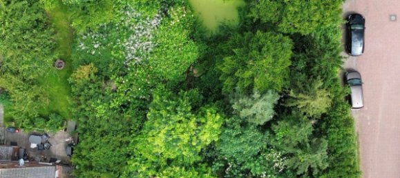 Studio in Emden, Germany, Nr. 239126 4