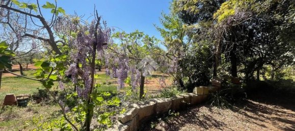 Студия в Остуни, Италия № 217202 4