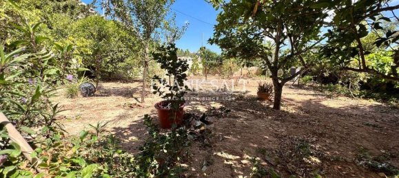 4 Schlafzimmer Haus in Dingli, Malta, Nr. 10681 4