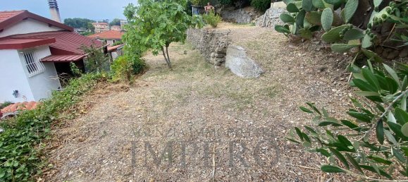 3-Zimmer Haus in Camporosso, Italy, Nr. 169812 16