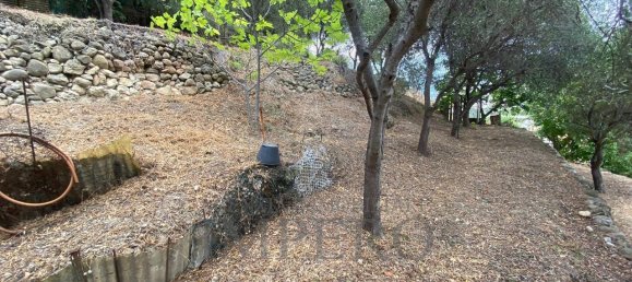 3-Zimmer Haus in Camporosso, Italy, Nr. 169812 9