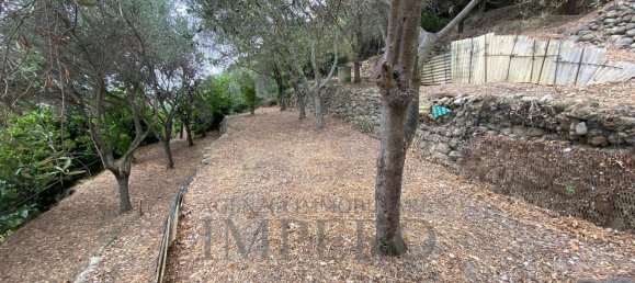 3-Zimmer Haus in Camporosso, Italy, Nr. 169812 17