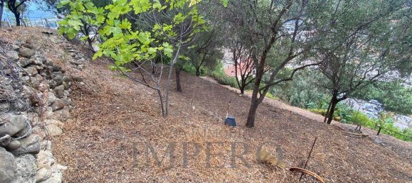 3-Zimmer Haus in Camporosso, Italy, Nr. 169812 26