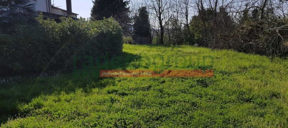 10 rooms House in Collesalvetti, Italy No. 134699 48