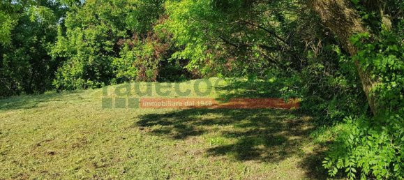 10 rooms House in Collesalvetti, Italy No. 134699 28