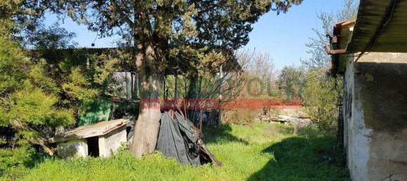 10 rooms House in Collesalvetti, Italy No. 134699 18