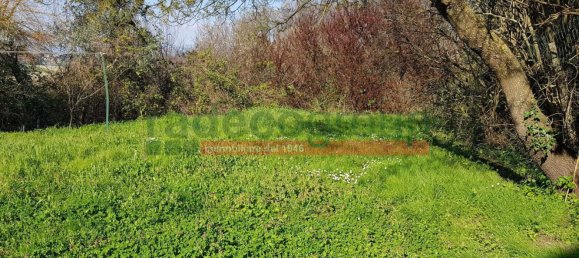 10 rooms House in Collesalvetti, Italy No. 134699 43