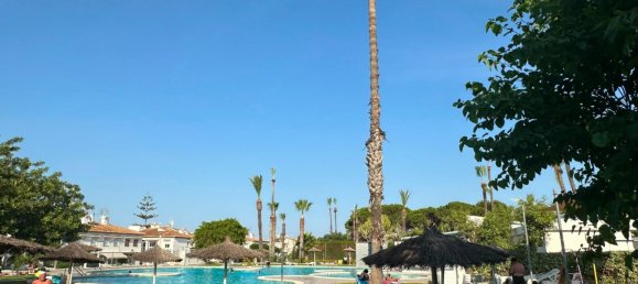 1 chambre appartement à vendre à Torrevieja, Alicante, Valencian Community, Spain № 370109 20