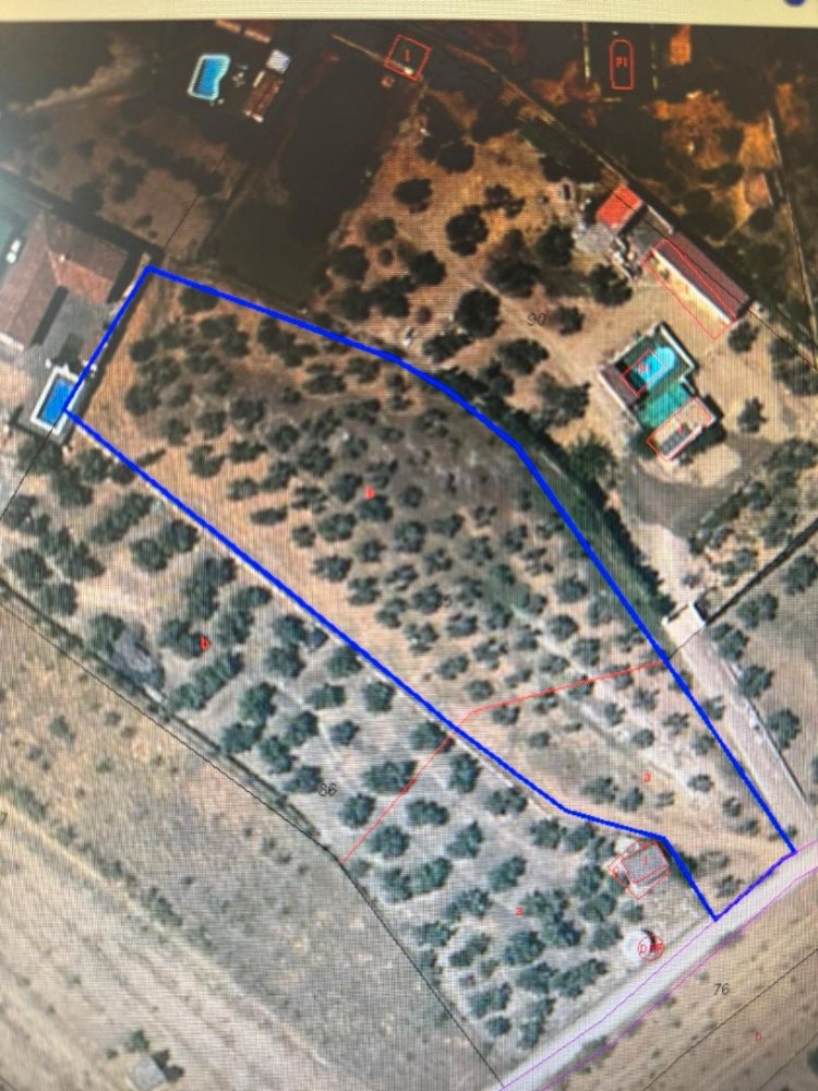 3900m² Land in Andalusia, Spain No. 200396