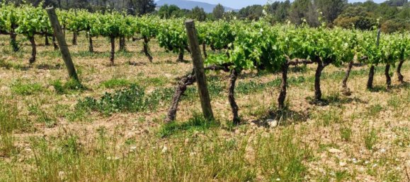 Дом с 10 спальнями в Торрелавит, Испания № 155491 20