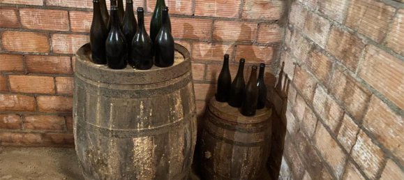 Дом с 10 спальнями в Торрелавит, Испания № 155491 17