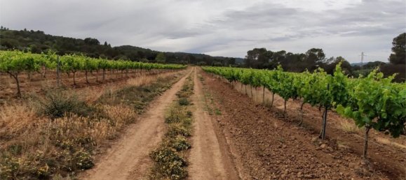 Дом с 10 спальнями в Торрелавит, Испания № 155491 19