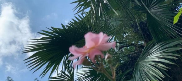 3 rooms Duplex in Varazze, Italy No. 222064 9