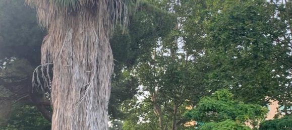 3 rooms Duplex in Varazze, Italy No. 222064 8