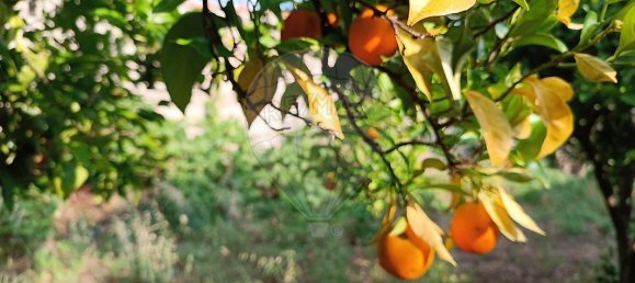 3 Schlafzimmer Haus in Bendada, Portugal, Nr. 26175 9