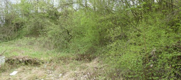 Grundstück in Trier-Saarburg, Germany, Nr. 132260 6