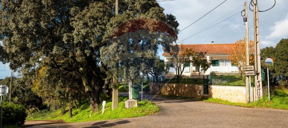 4 غرف نوم منزل في Ourem, Portugal رقم 23971 4