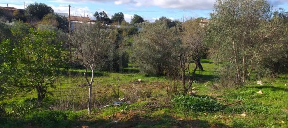 Дом с 6 спальнями в Лоле, Португалия № 48847 13