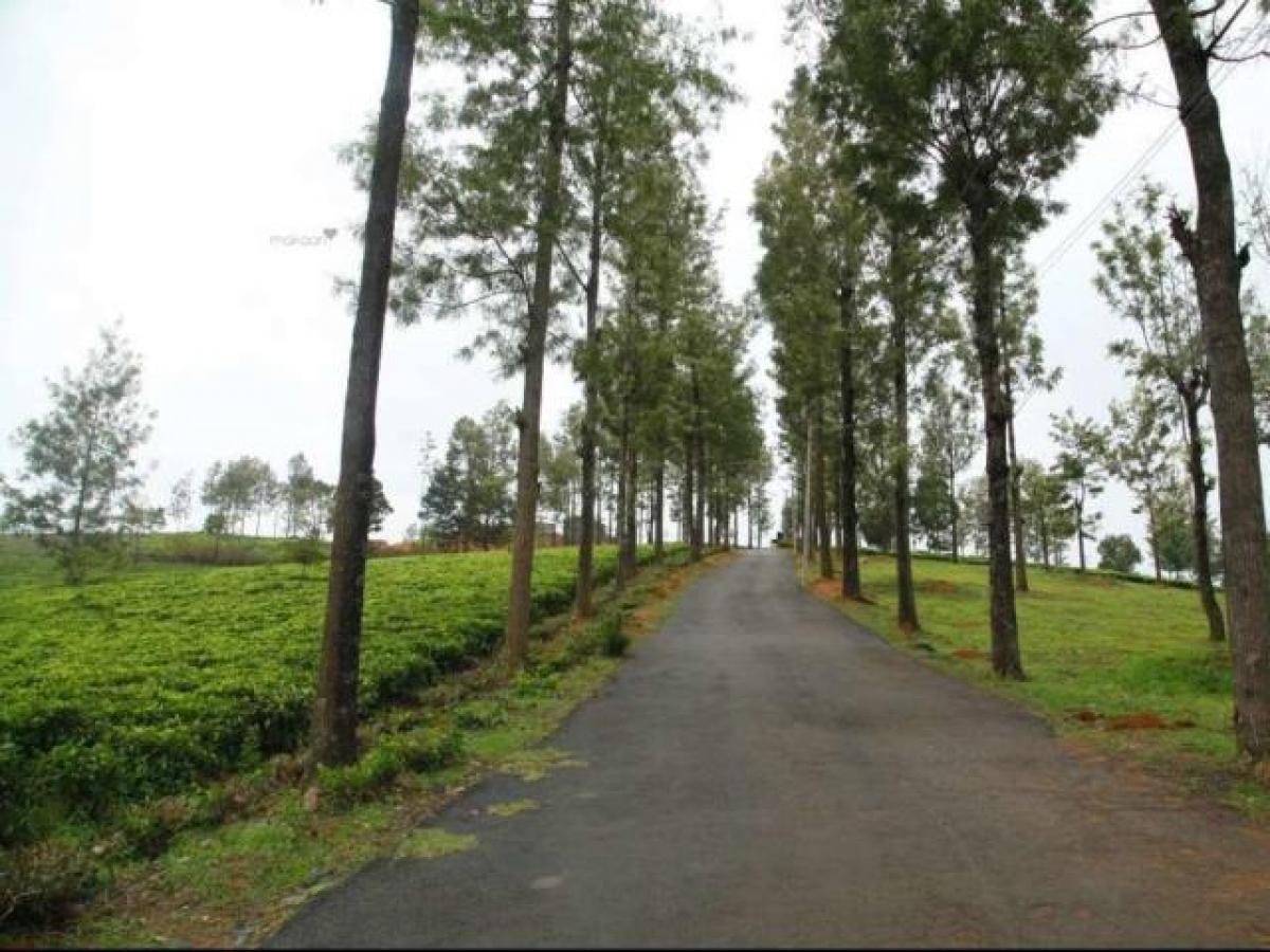  Land in Tamil Nadu, India No. 38182