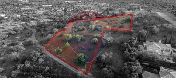 Grundstück in Sao Bartolomeu de Messines, Portugal 8360m², Nr. 63581 4