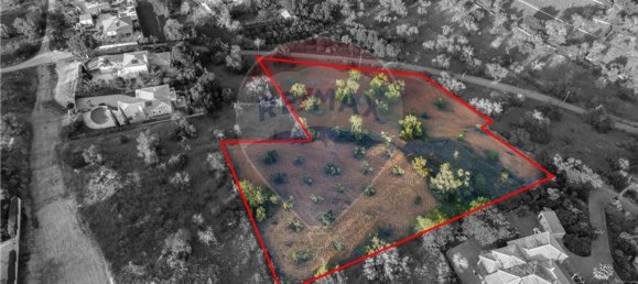 Grundstück in Sao Bartolomeu de Messines, Portugal 8360m², Nr. 63581 8