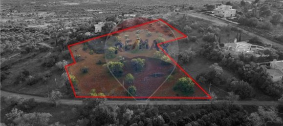 Grundstück in Sao Bartolomeu de Messines, Portugal 8360m², Nr. 63581 2