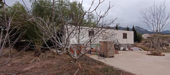 1 chambre Maison à La Romana, Spain No. 97889 9