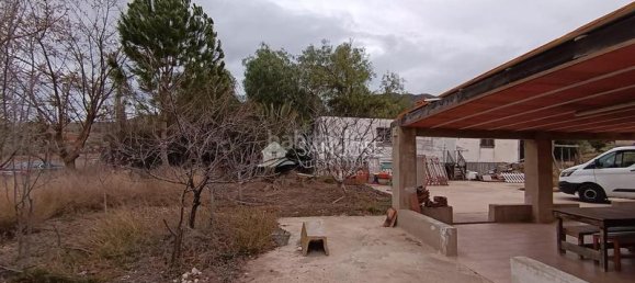 1 chambre Maison à La Romana, Spain No. 97889 8