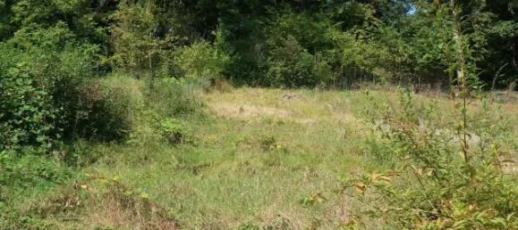 Casa de 3 dormitorios en Rottweil, Germany No. 17268 12