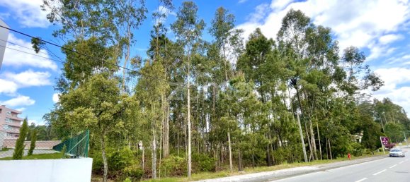 قطعة أرض في Cesar, Portugal رقم 81477 4