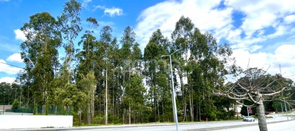 قطعة أرض في Cesar, Portugal رقم 81477 3