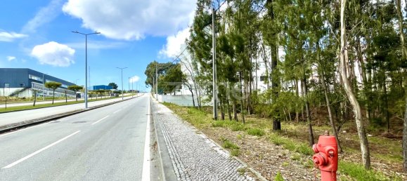 قطعة أرض في Cesar, Portugal رقم 81477 7