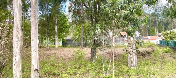 قطعة أرض في Cesar, Portugal رقم 81477 6