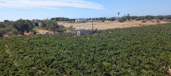 3 Schlafzimmer Doppelhaus in Pulsano, Italy, Nr. 376732 39