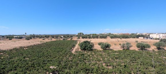 3 Schlafzimmer Doppelhaus in Pulsano, Italy, Nr. 376732 41