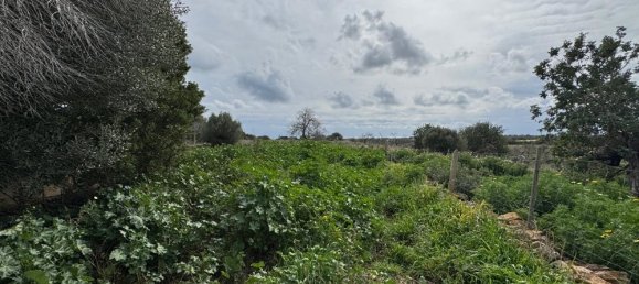  قطعة أرض في Algaida, Spain 207متر مربع رقم 16218 5