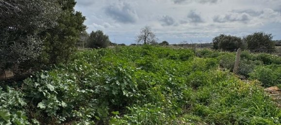  قطعة أرض في Algaida, Spain 207متر مربع رقم 16218 6