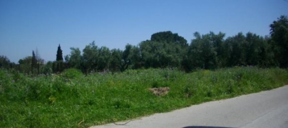 Land for sale in Zakynthos, Ionian Islands, Peloponnese, Western Greece and the Ionian, Greece № 452 5