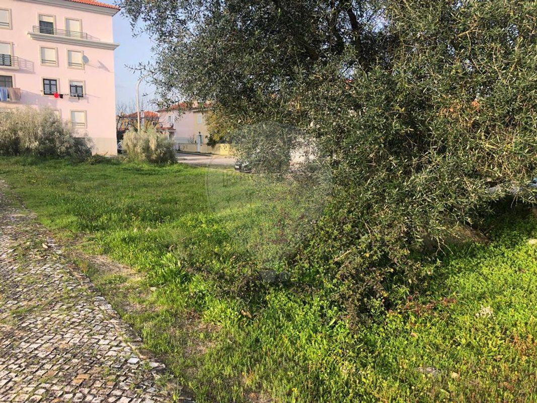 Grundstück in Palmela, Portugal 252m², Nr. 55868