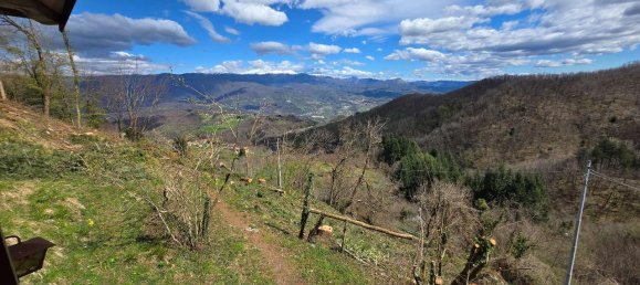 7 rooms House in Molazzana, Italy No. 75655 31