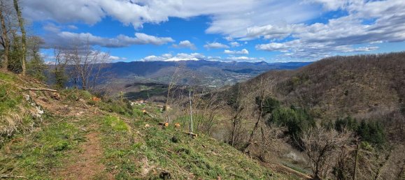 7 rooms House in Molazzana, Italy No. 75655 8