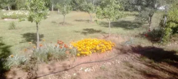 4 bedrooms House in Valdebotoa, Spain No. 121752 45