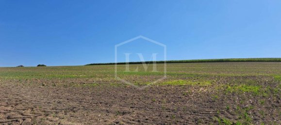  قطعة أرض في Mayen-Koblenz, Germany رقم 354743 4