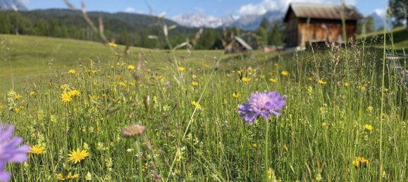 3 غرف نوم شقة في Seefeld in Tirol, Austria رقم 133065 16