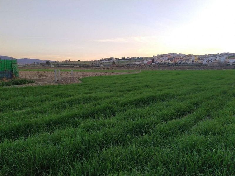 9281m² Land in Las Gabias, Spain No. 227229