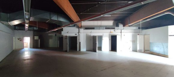 1400m² Commercial property in Steinburg, Germany No. 65753 9