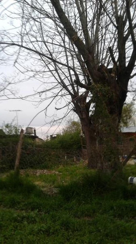 200m² Land in Canuelas, Argentina No. 30666