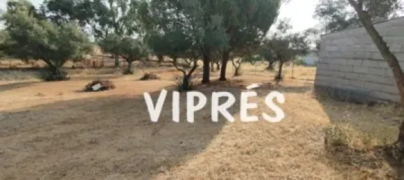 Imóvel comercial T2 em Arroyo de la Luz, Spain N.º 180106 34